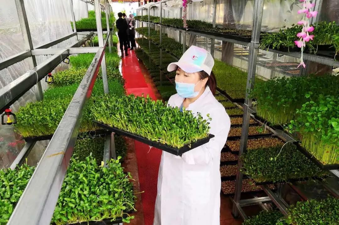 北大荒北安管理局,北大荒集团召开营销工作现场会