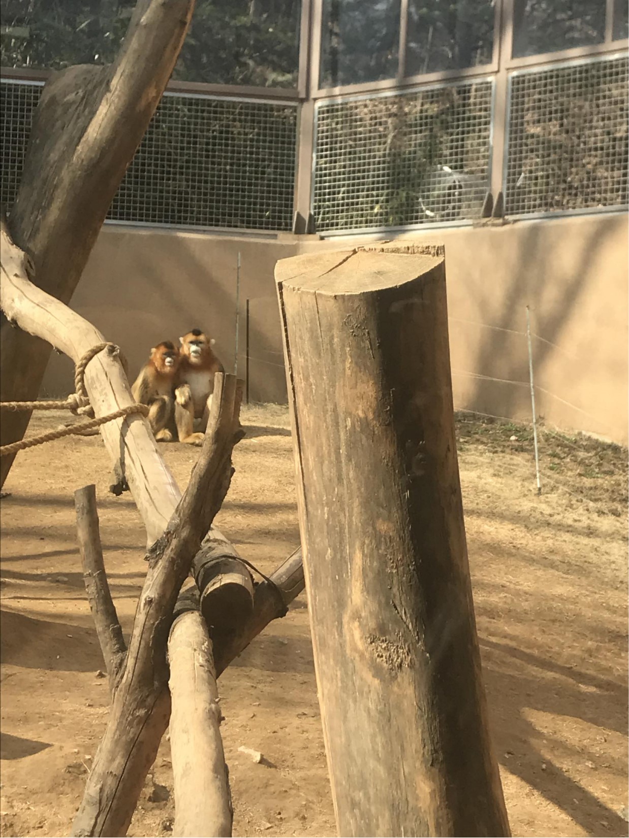 三星爱宝乐园面积,韩国爱宝乐园游乐园