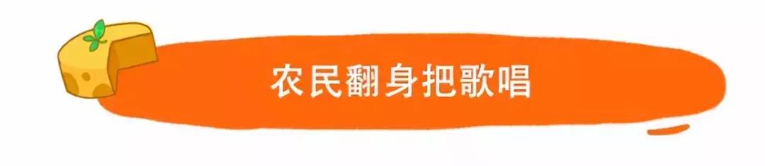 荷兰奶酪城,探秘荷兰夜生活