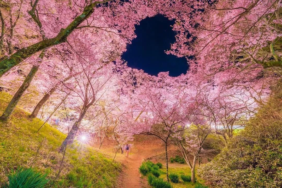 日本长野县旅行,日本长野赏樱旅游攻略