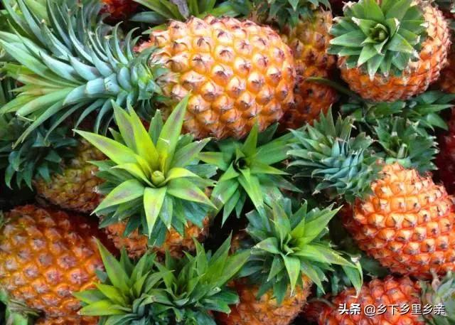 小麦引进中国之前人们吃什么,涨姿势科普刷新您对大米的认知