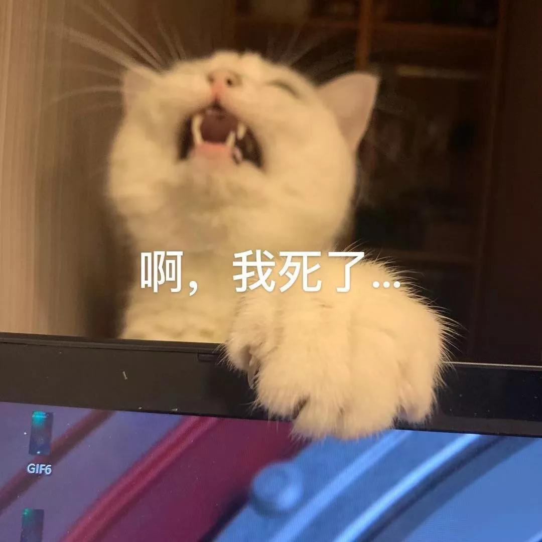 qq登录的微信可以改微信号吗,刚注册的微信能改微信号吗