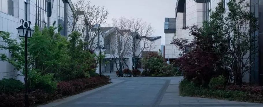 新盛，一个“全能型选手”的徐州进化史