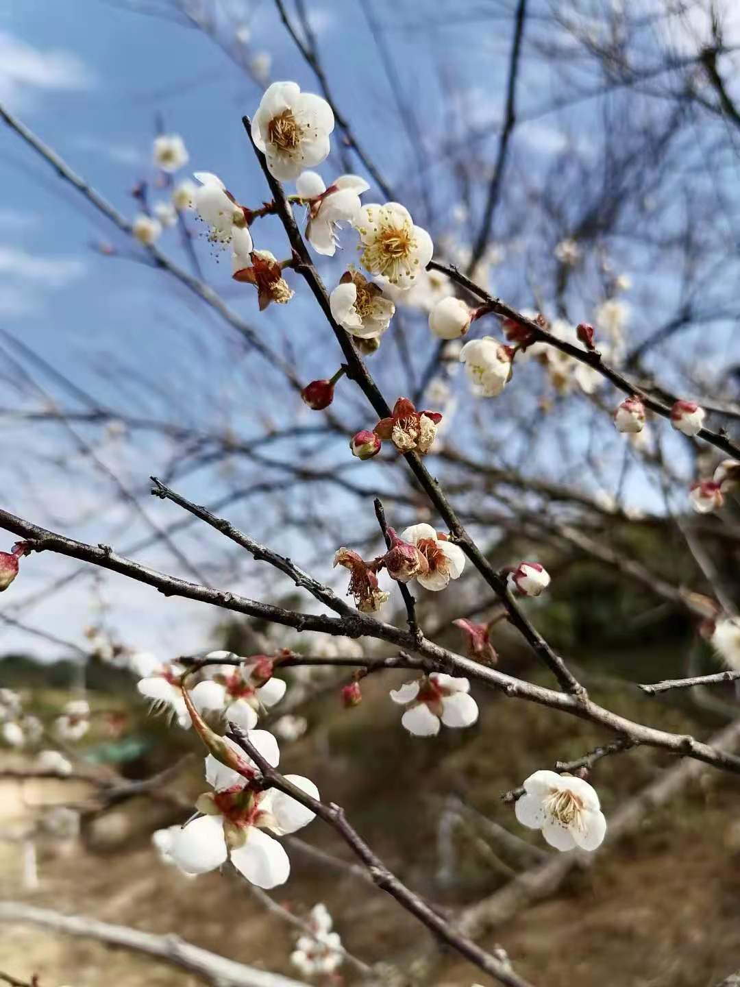 人类简史男权女权,男权与女权之间的战争