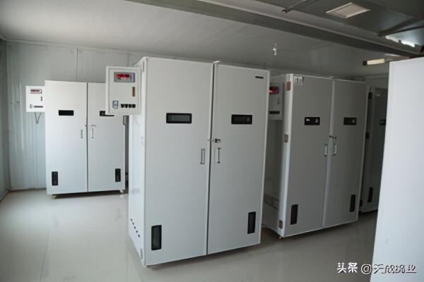 怎么提高鸽子的产蛋质量,人工孵化肉鸽的步骤