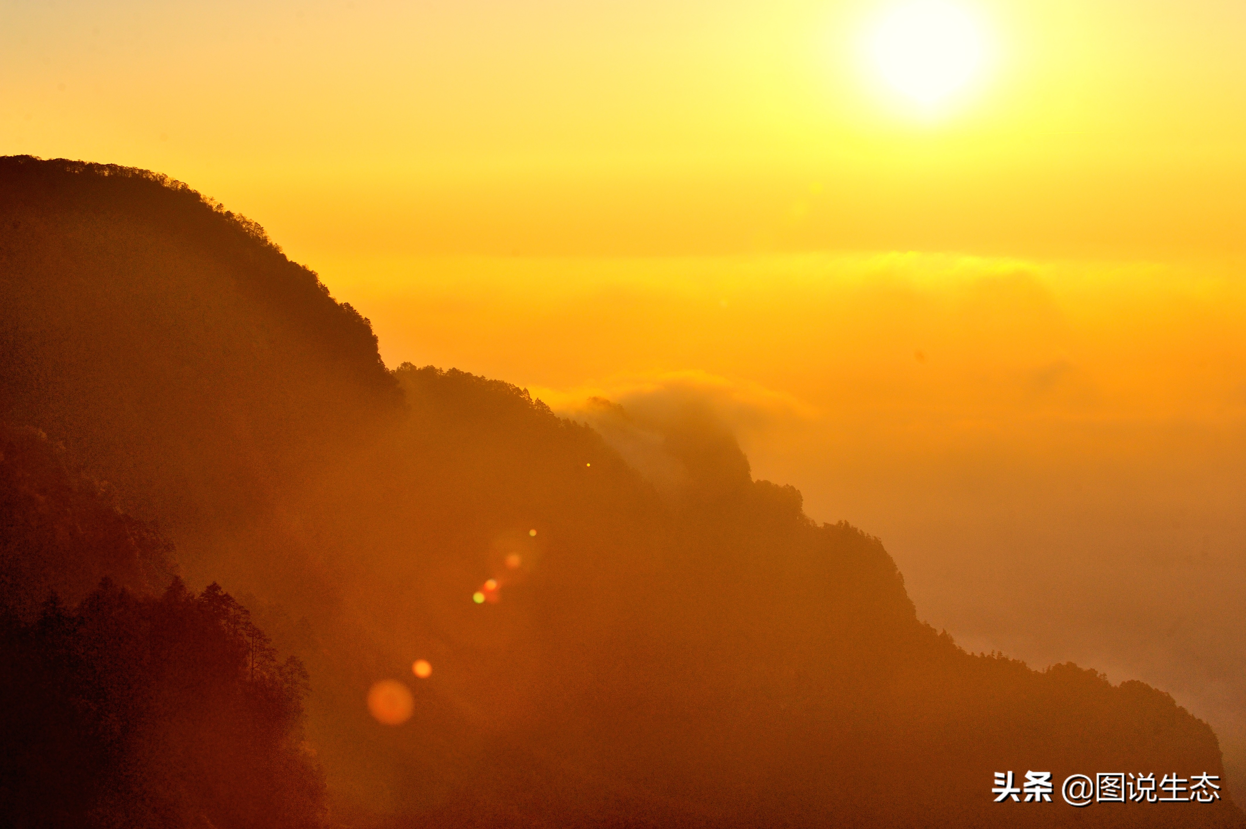 登上峨眉山金顶看风景,峨眉山日出云海佛光圣灯照片