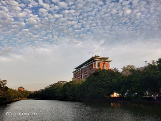 荣耀20i拍照对比oppok1,oppok1对比荣耀8x跑分