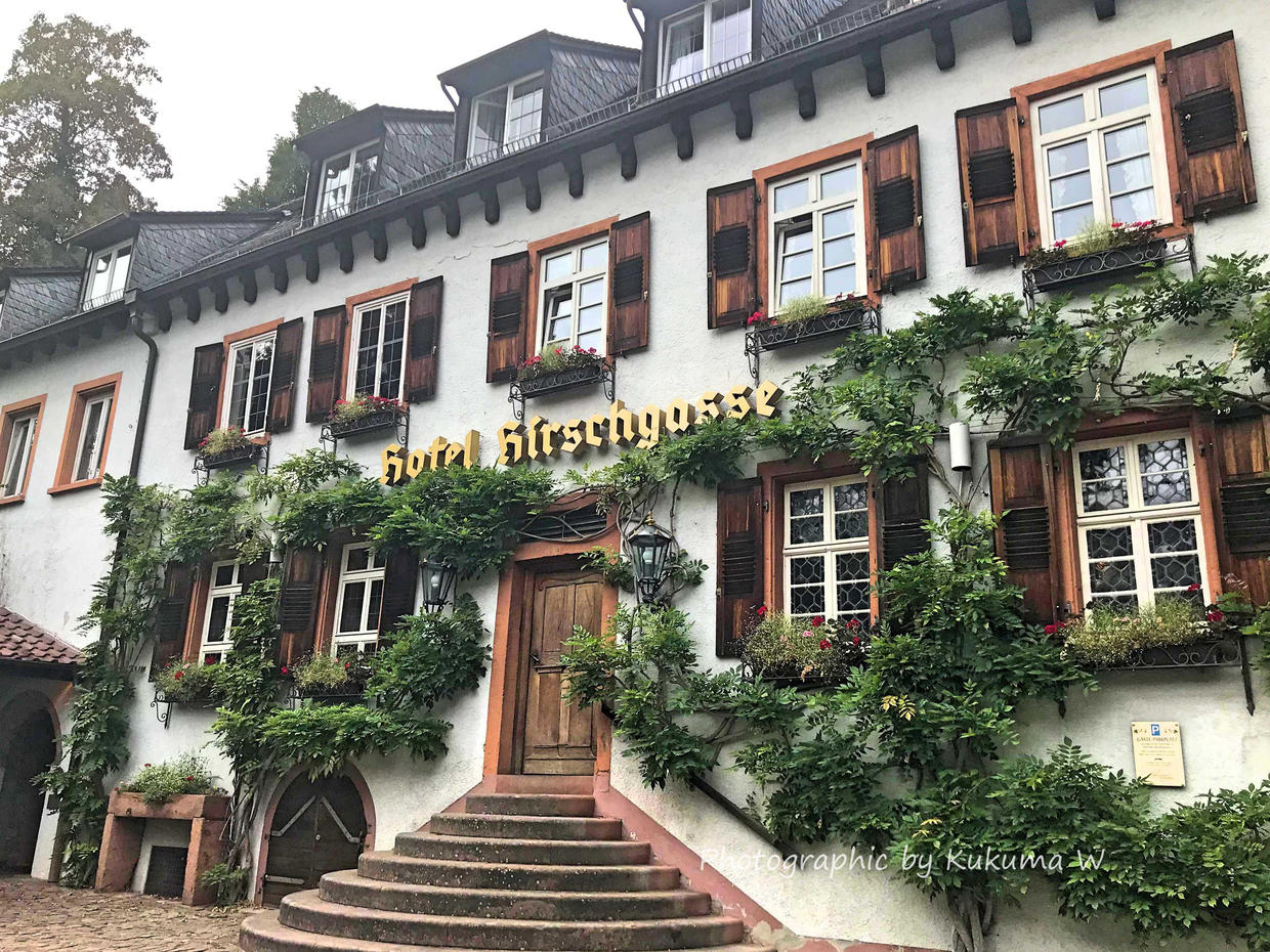 德国旅游住哪个酒店比较好,欧洲旅游住几钻酒店好