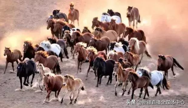 *疆新**人这么牛逼，你不知道吧