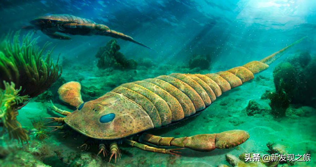 地球第六次生物大灭绝会怎么样,地球曾出现过几次物种大灭亡