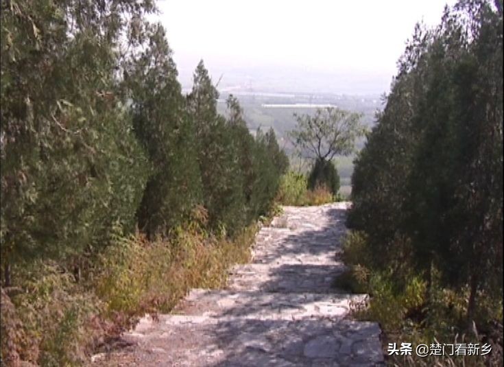 凤凰山公园的建设方案,凤凰山公园改造最新消息