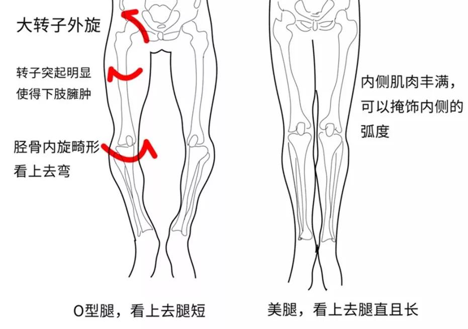 怎么练成大长腿懒人动作,如何练成笔直大长腿