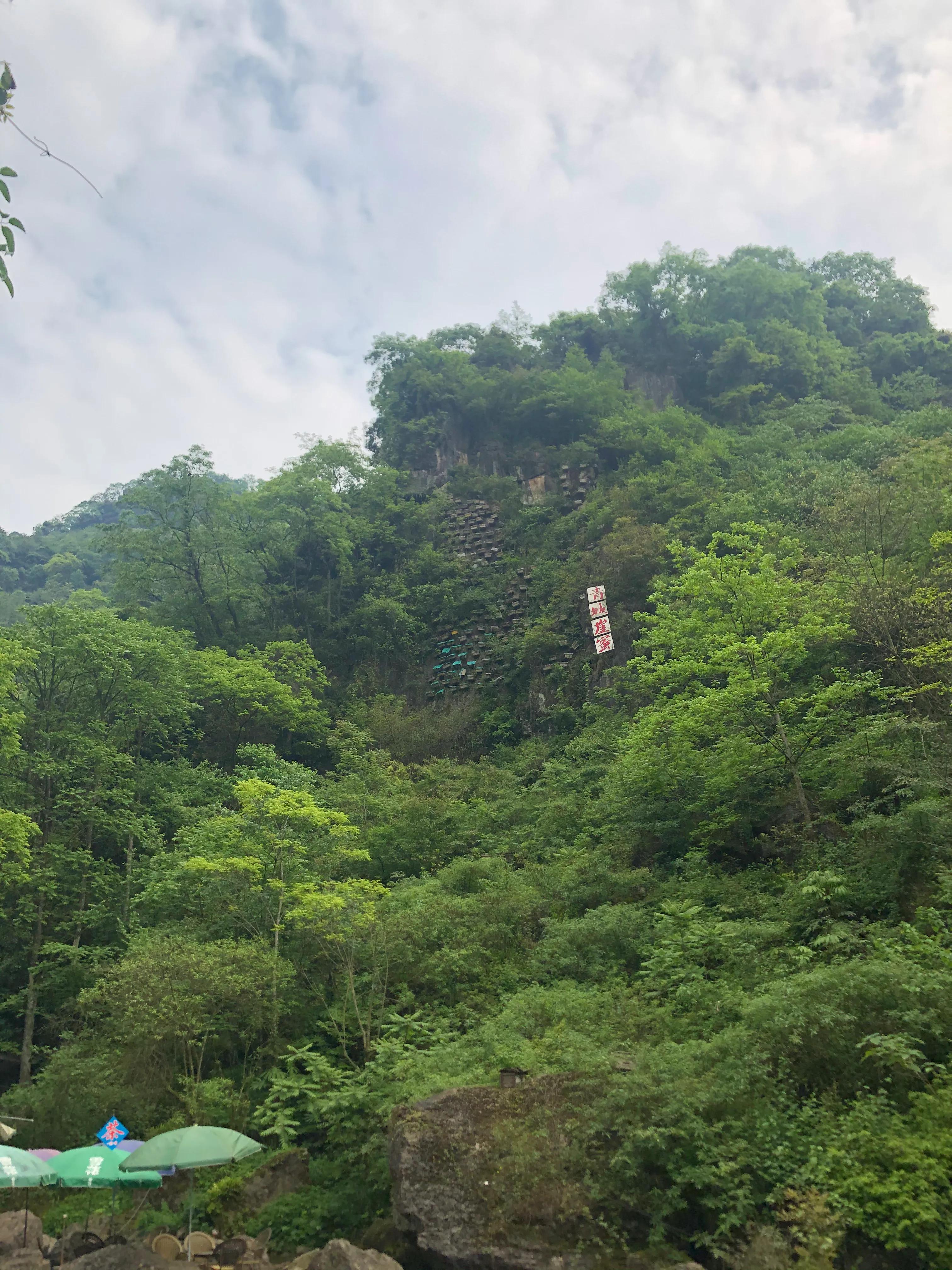 青城山后山一日游耍水攻略,青城山后山最值得去的地方