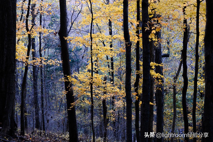 如何拍光线反差大的照片,手机拍的照片光线很暗怎么调整