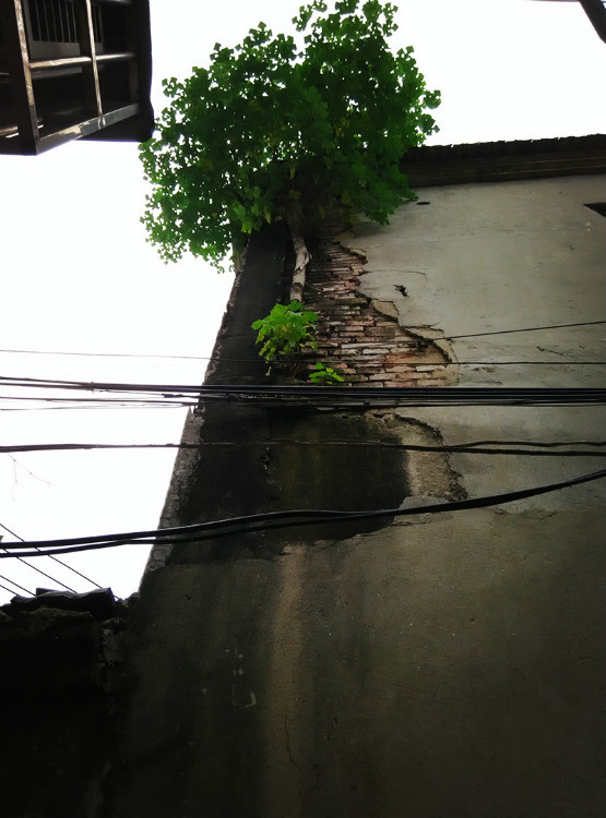 镇江有生活气息的地方,镇江的地方特色