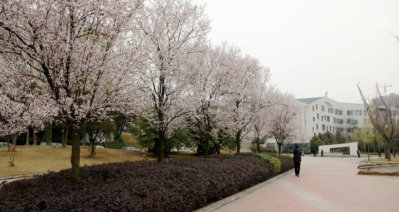 成都实验外国语学校西区2021招生,成都实外西区高考喜报2021