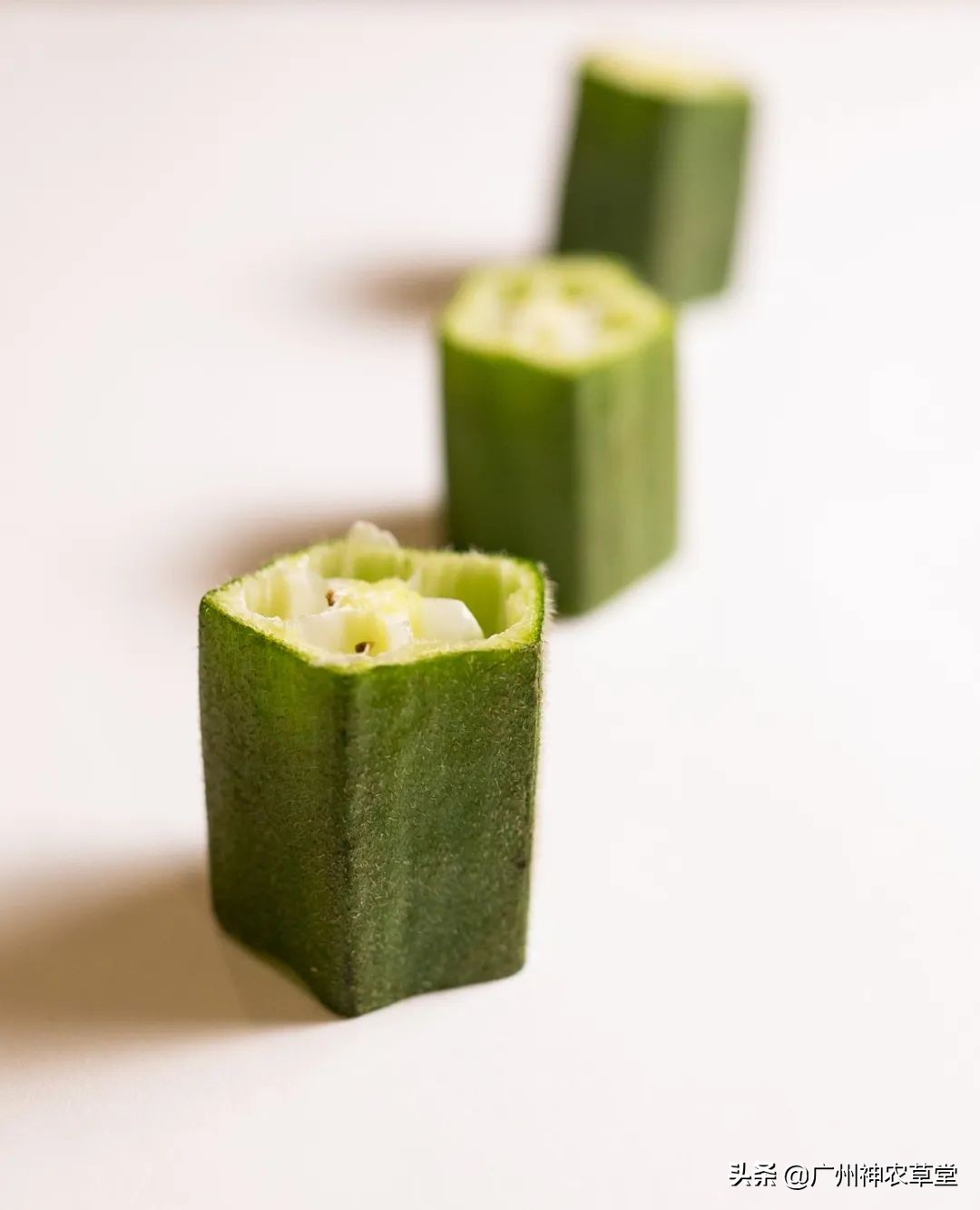 秋葵和曼陀罗长得像吗,如何辨别曼陀罗和龙葵