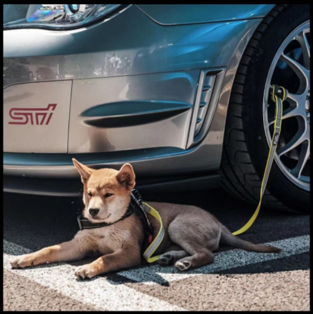 斯巴鲁最好的sti,sti是斯巴鲁什么部门