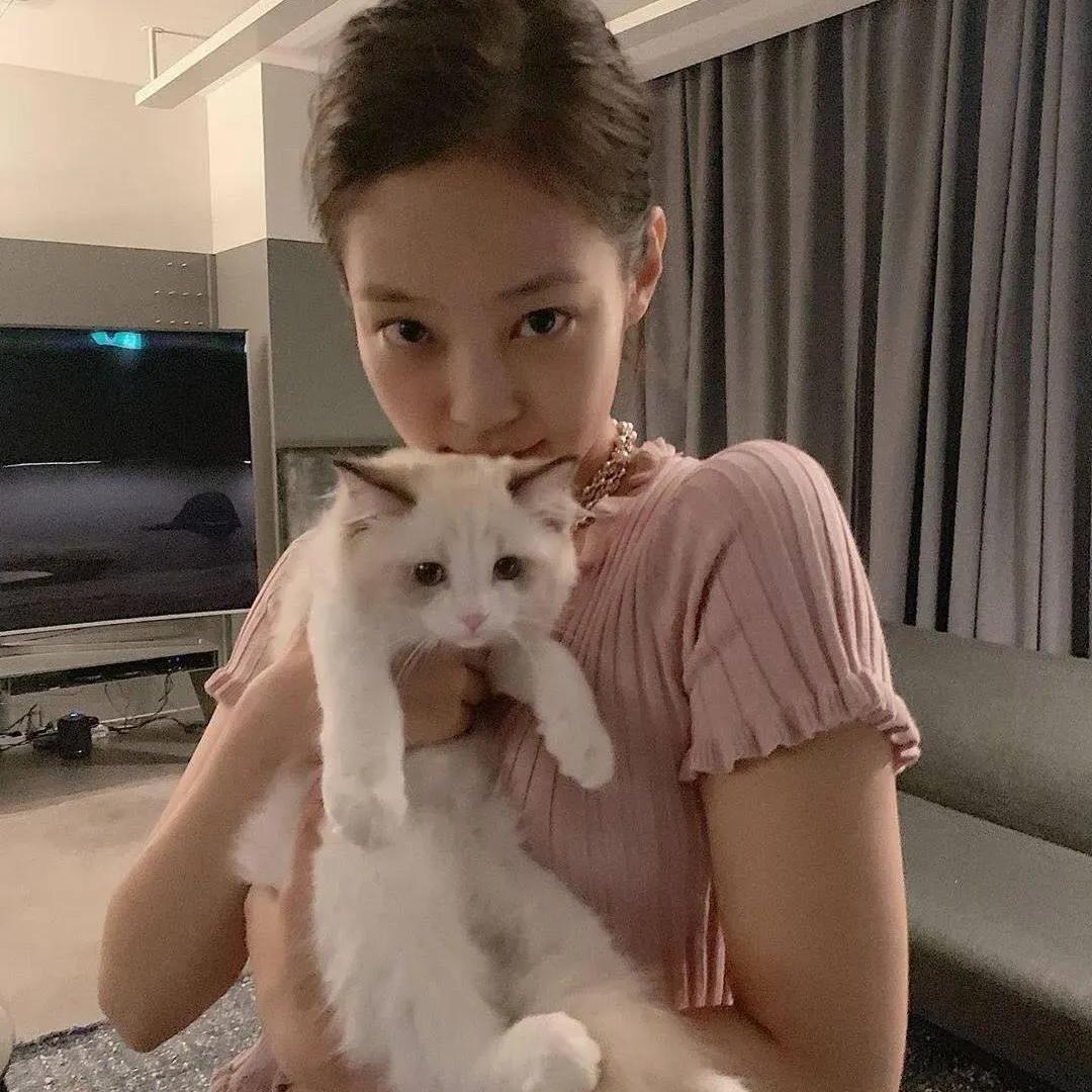 图片分享展示视频,粉墨周边整理图