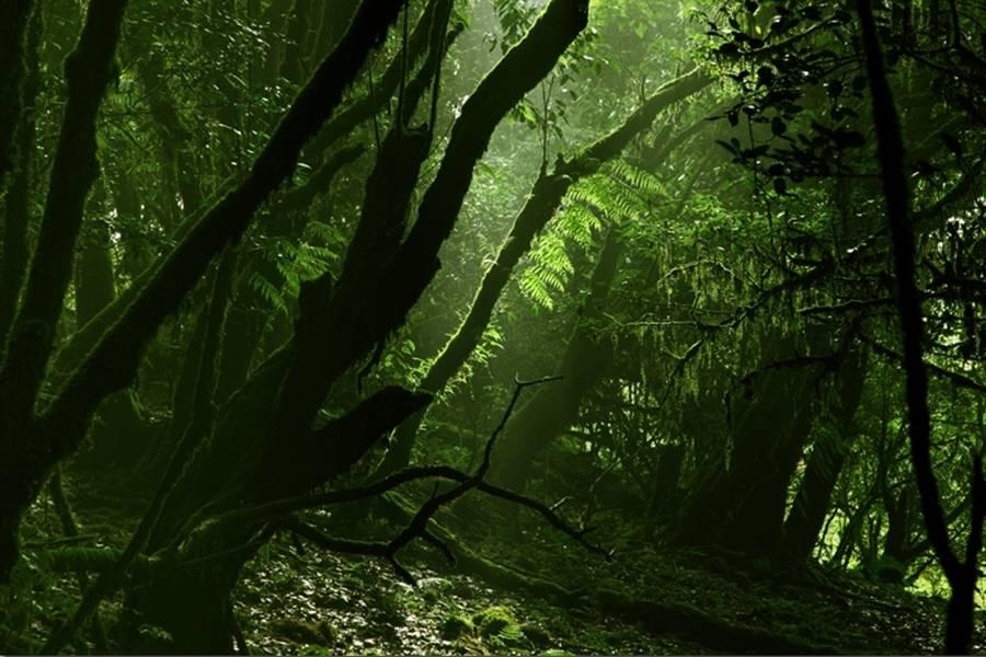 在竹溪河发现宫崎骏里的花海,宫崎骏的天空黑河