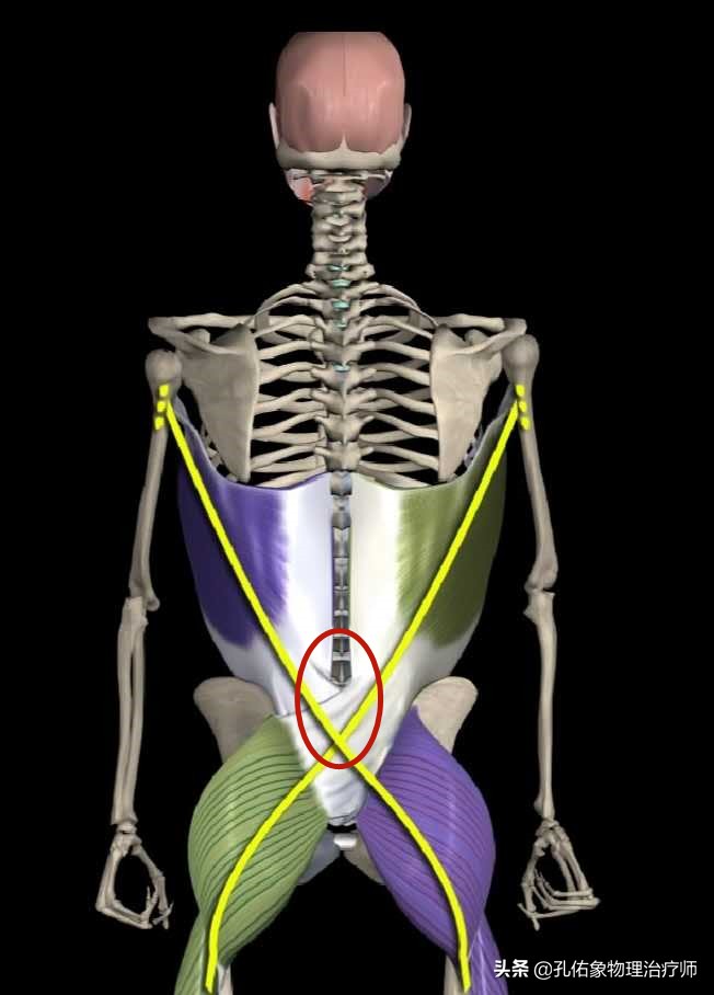 腰酸胀是什么预兆,腰酸疼警惕四种原因