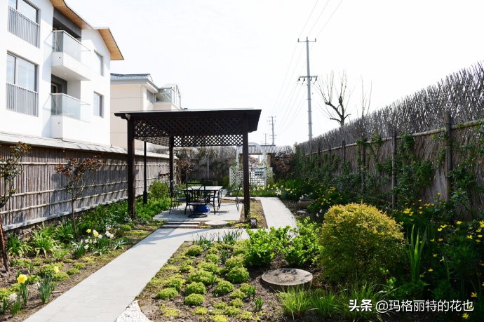 上海洋水仙,上海璞素上居民宿抖音团购