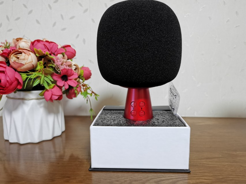 唱吧小巨蛋g2麦克风和g3的区别,唱吧小巨蛋麦克风g2使用