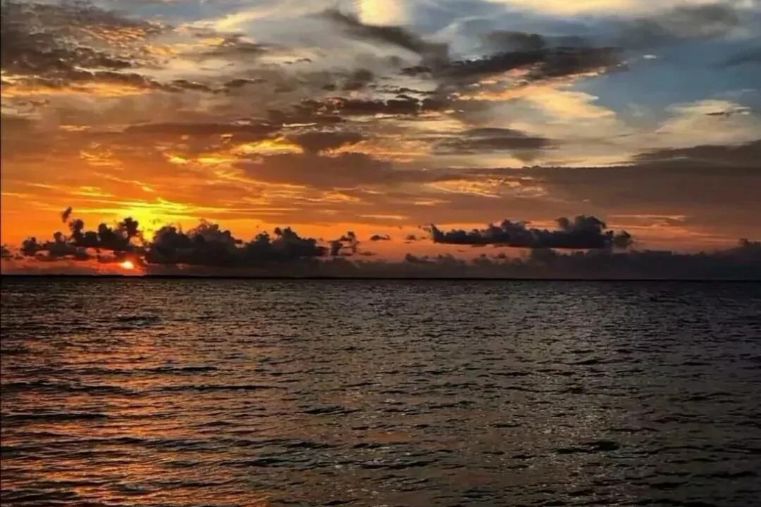 教你怎么去爱一个人电影,怎样学会去爱一个人