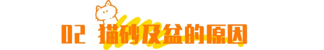 抖音特别能尿床的猫,猫咪尿床发抖音