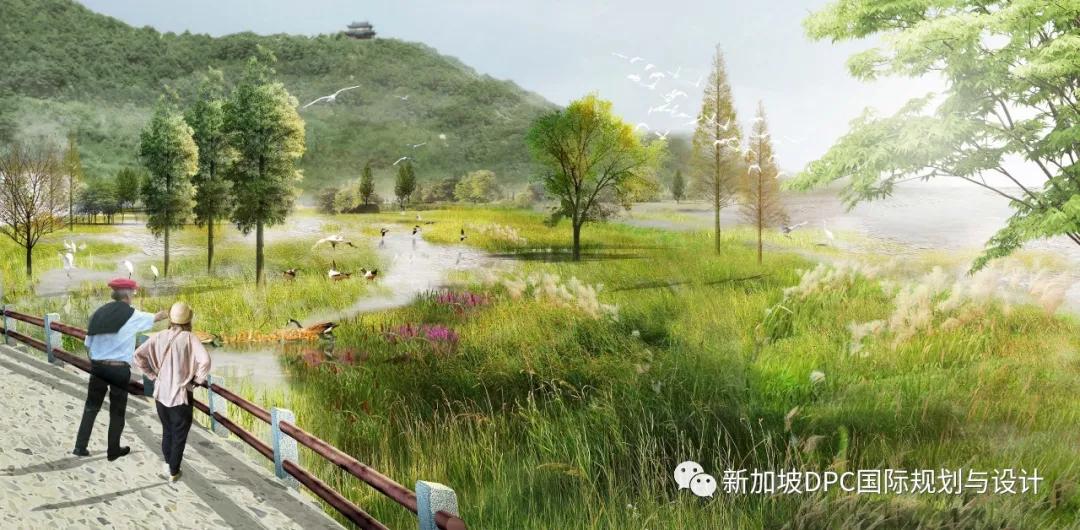 被盛赞“很精彩！很惊艳！很欣喜！”南充最美公园华丽来袭|DPC