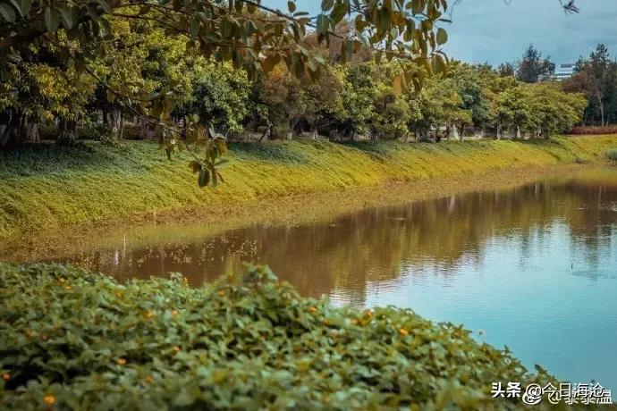 厦门将新增一条滨海浪漫线,厦门一条很美的路线