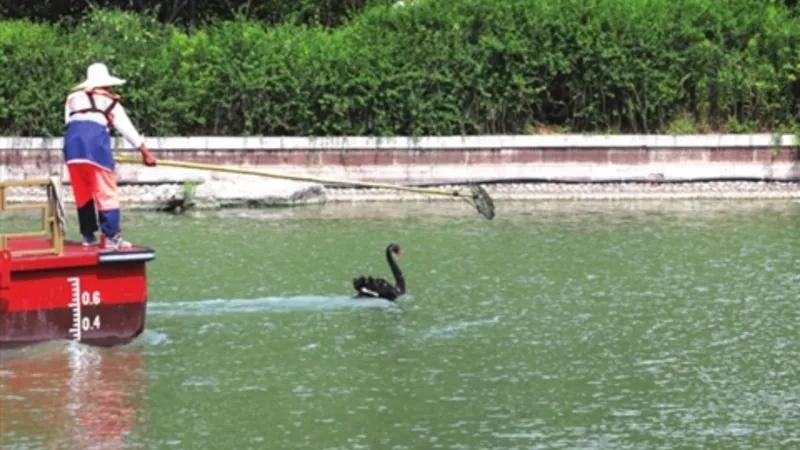 雨后苏州视频,雨后苏州的图片