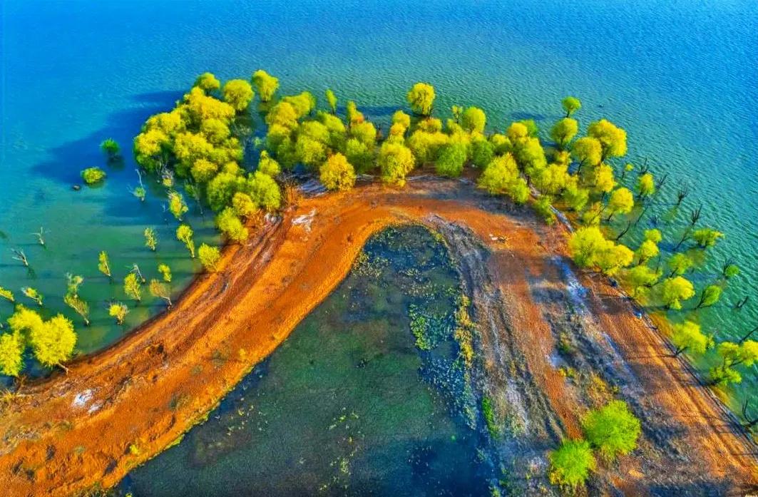 合肥被评为最宜居的城市,西安与合肥哪个宜居