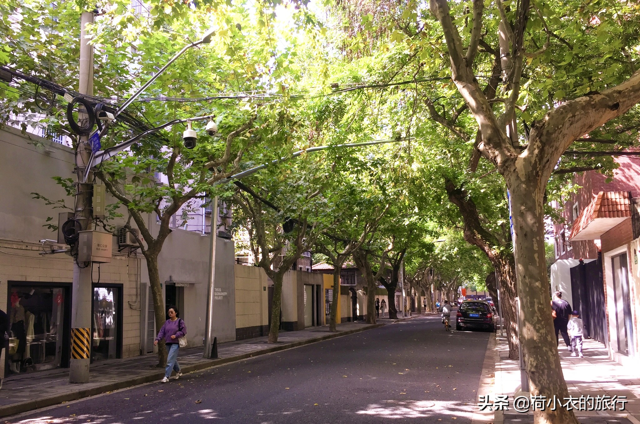 上海浪漫有文艺气息的地方,原来我们上海也有这么浪漫的地方