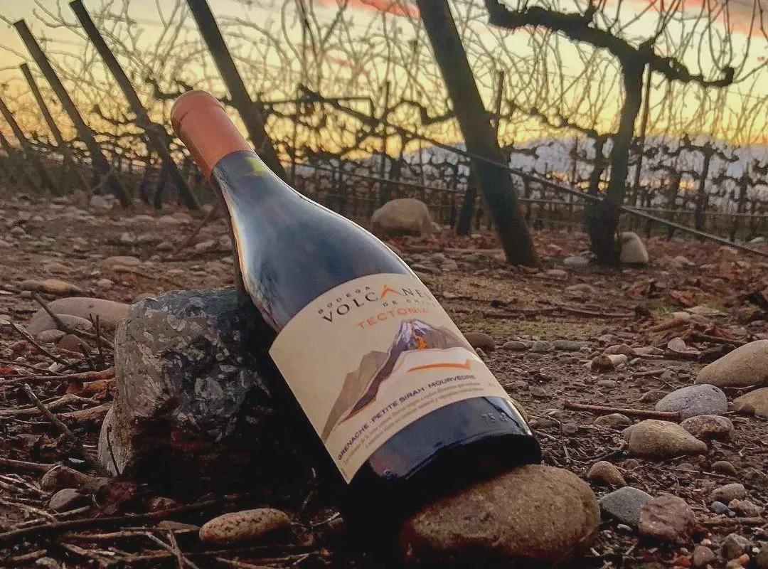 勃艮第黑皮诺好喝吗,勃艮第最顶级黑皮诺多少钱一瓶