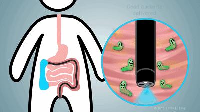 益生菌送检合格品牌,国产成人益生菌送检