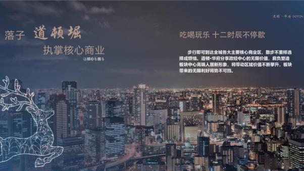 道顿华府项目视频,道顿华府有多厉害