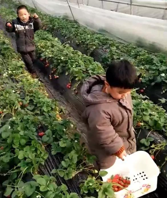 禹州清明踏青旅游攻略,禹州春游爬山的好地方