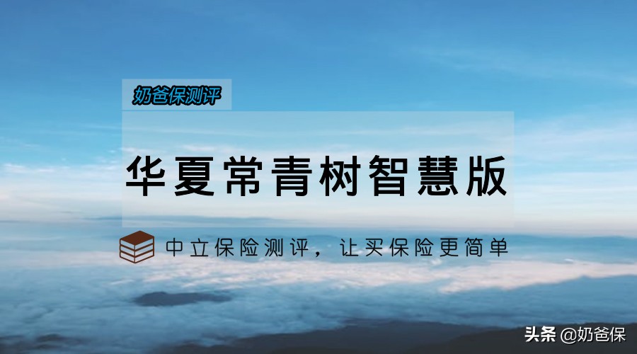 常青树多倍版2.0跟优选版,常青树少儿版和特惠版哪个好