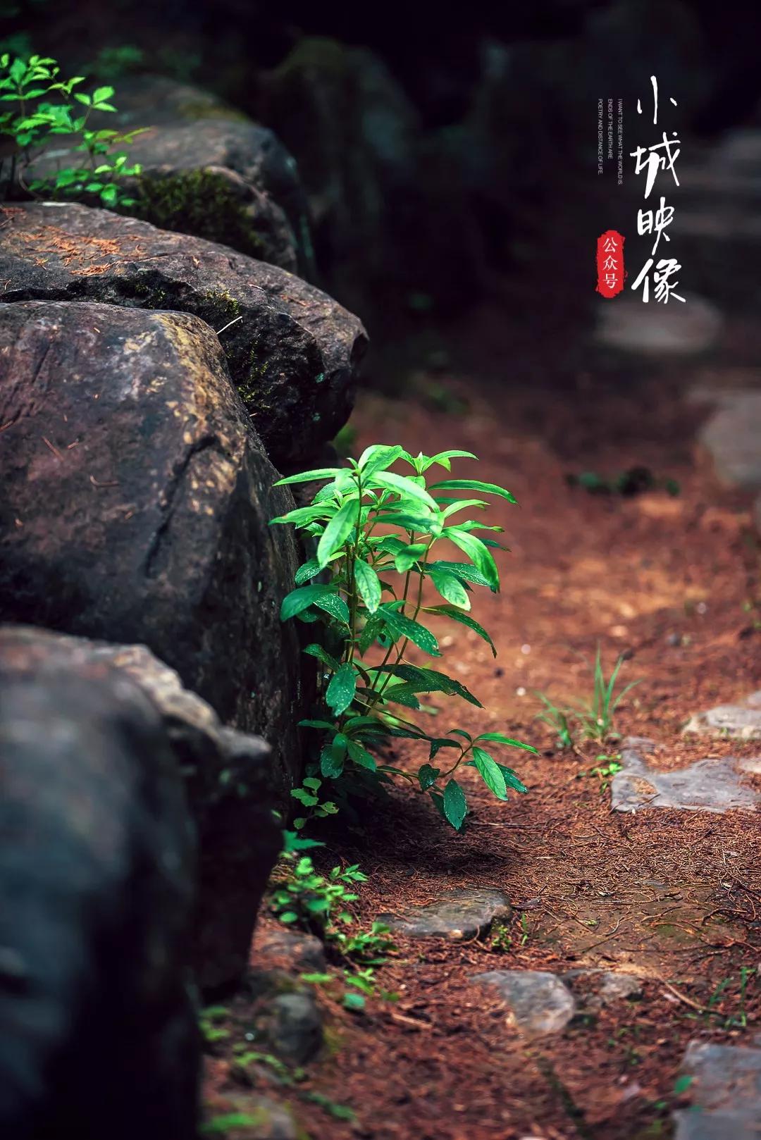 剑阁哪些地方历史悠久,剑阁县的简介