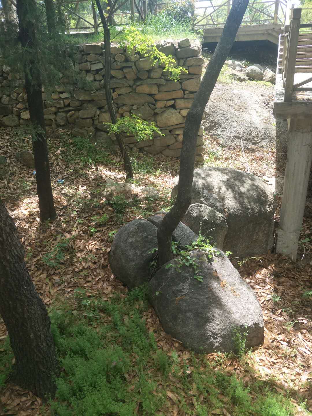 踏春五宝庵风景,踏春五宝庵山在哪里