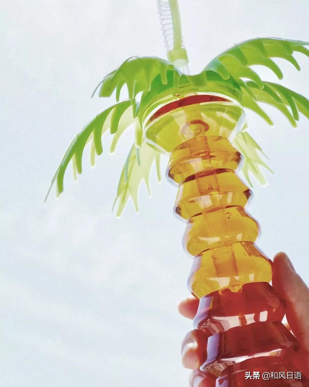 日本财务自由的真实生活,在日本做会计是一种什么体验