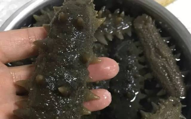你买的哪种海参？我来帮您看一看