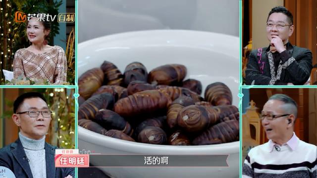 杜海涛沈梦辰吃蚕蛹,杜海涛沈梦辰吃油炸蚕蛹
