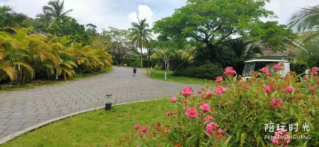 暑假适合带孩子去的海边度假酒店,适合亲子游的海边酒店推荐