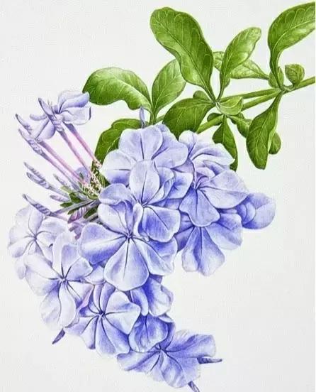 女人如水妻子越柔越旺夫旺家,女人温柔如水才能旺家