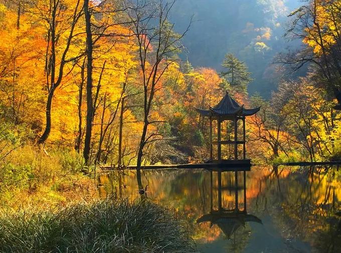 苦等西安初雪?不如花一顿饭钱从西安出发,过把冬天的瘾