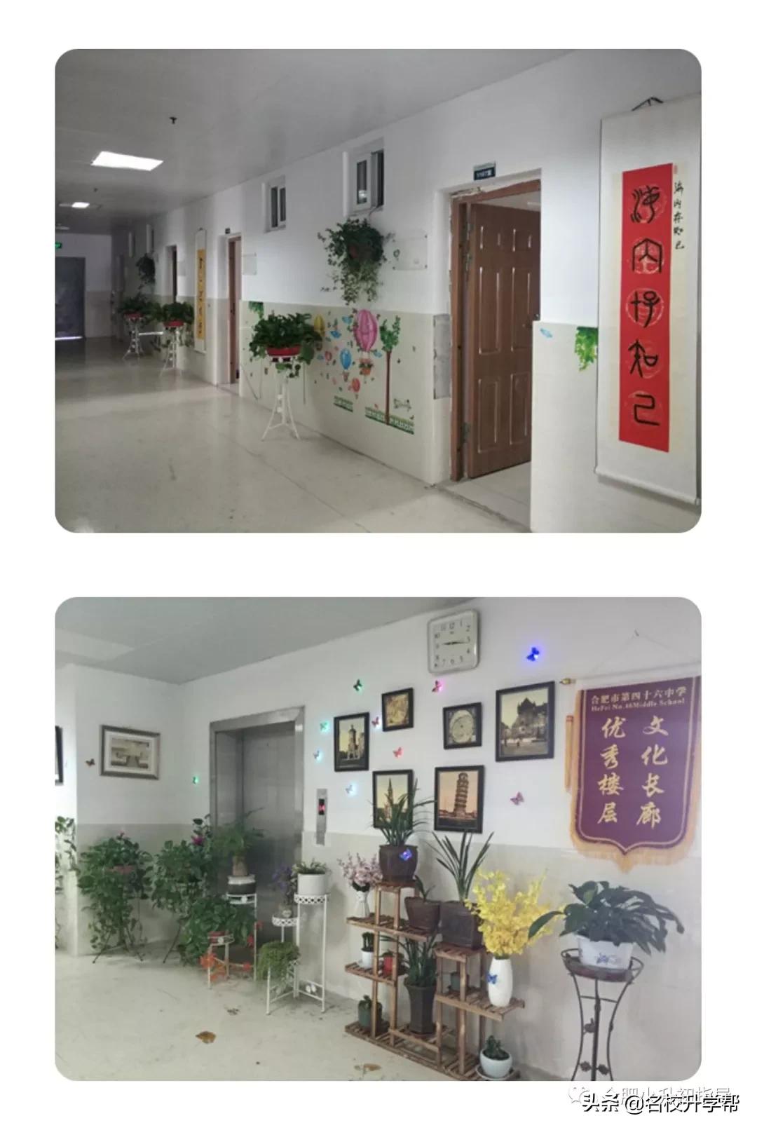 合肥有哪些学校初中可以寄宿,合肥寄宿初中