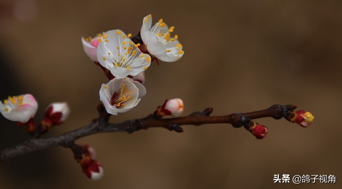 难容之事不妨付之一笑,生气时能够坦然一笑是一种大度