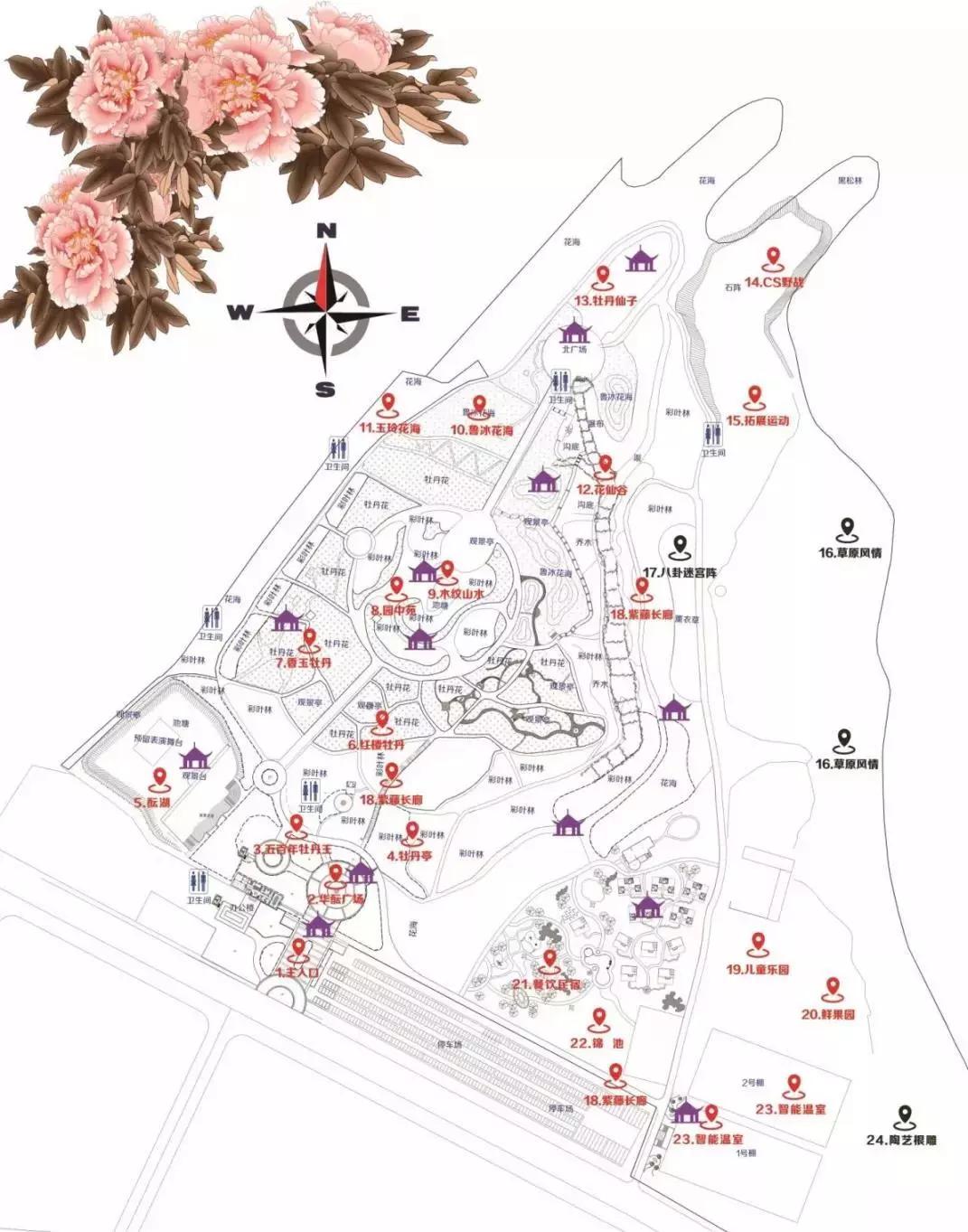 在大连去旅顺华酝牡丹园坐什么车,大连旅顺华酝牡丹园几月份适合去